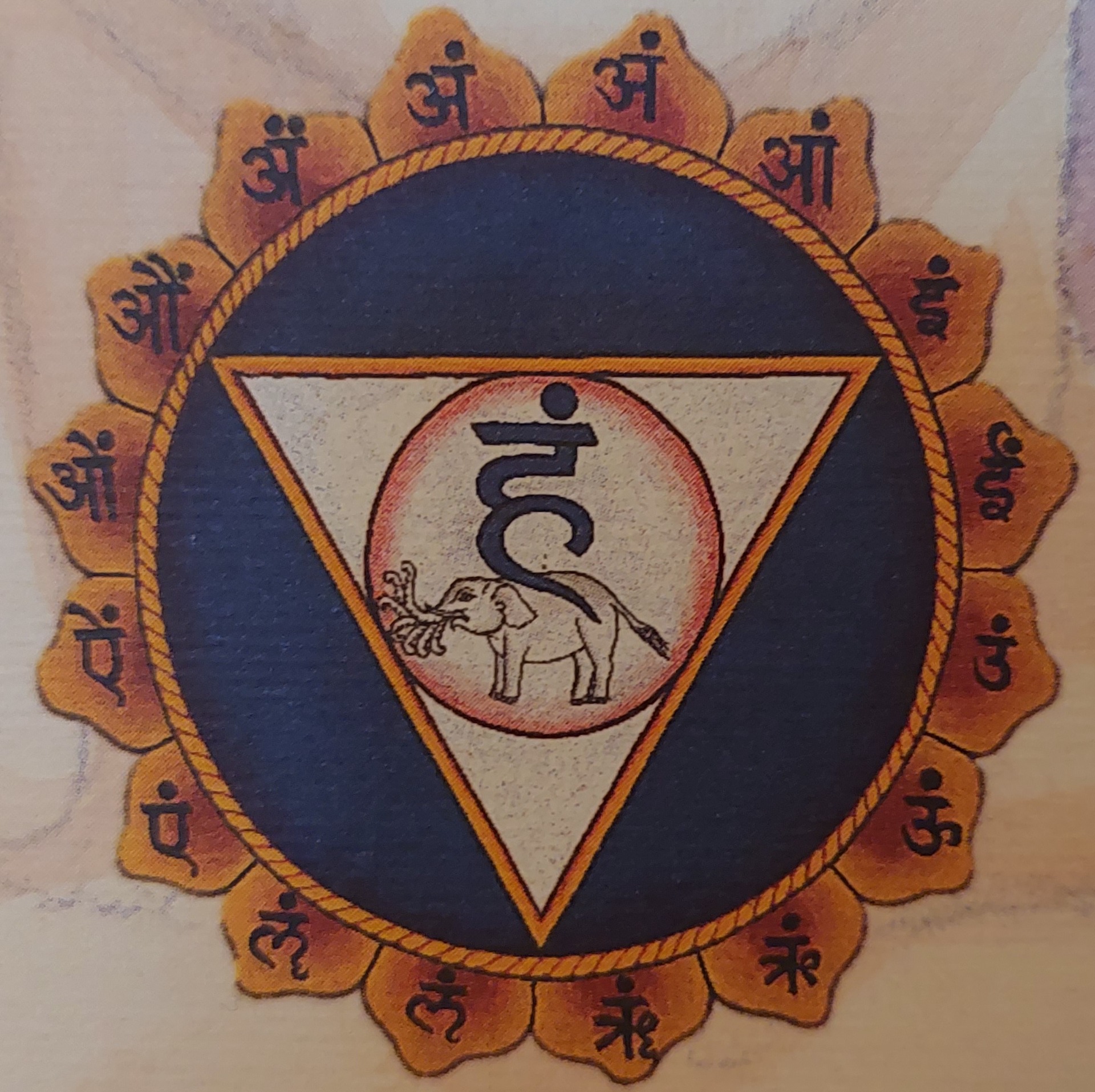 VISHUDDHA